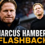 Marcus Hamberg Flashback